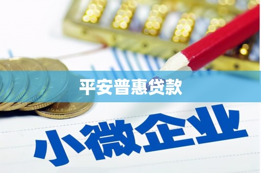磁县平安普惠贷款