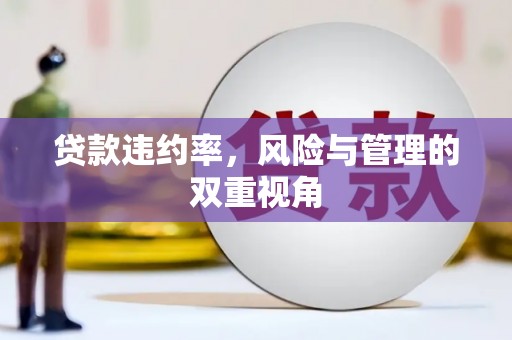 磁县贷款违约率，风险与管理的双重视角