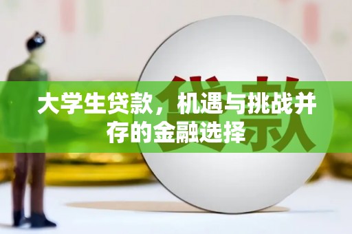 磁县大学生贷款，机遇与挑战并存的金融选择