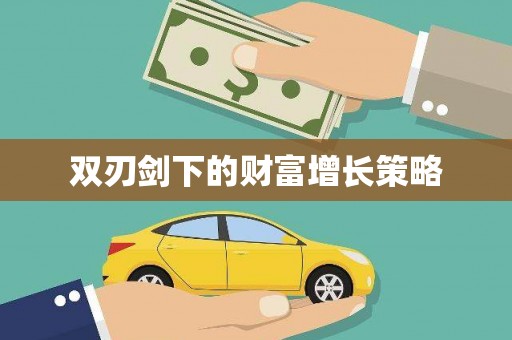 磁县双刃剑下的财富增长策略