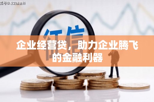 磁县企业经营贷，助力企业腾飞的金融利器
