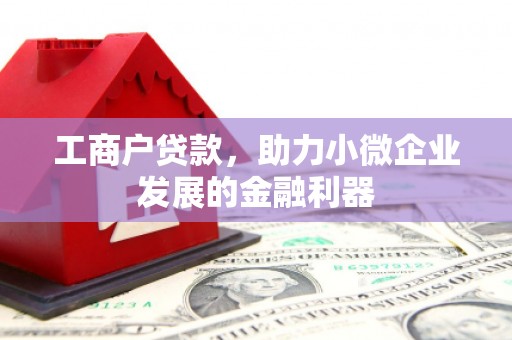 磁县工商户贷款，助力小微企业发展的金融利器
