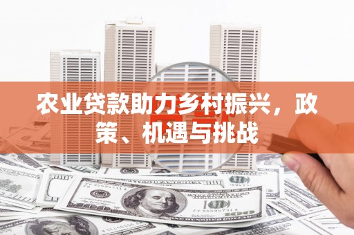 磁县农业贷款助力乡村振兴，政策、机遇与挑战