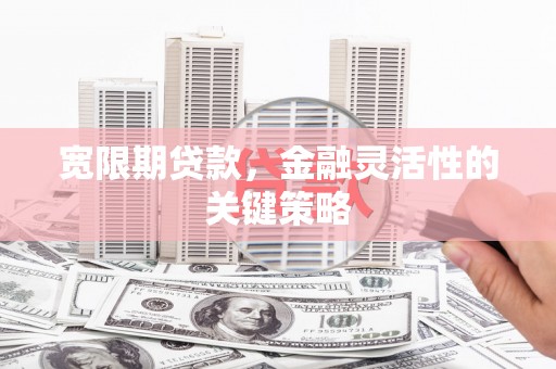 磁县宽限期贷款，金融灵活性的关键策略
