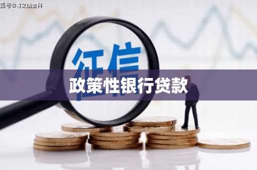 磁县政策性银行贷款