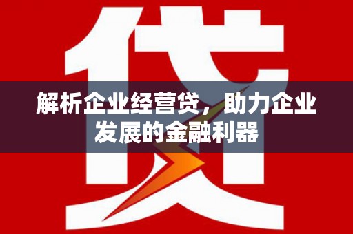 磁县解析企业经营贷，助力企业发展的金融利器