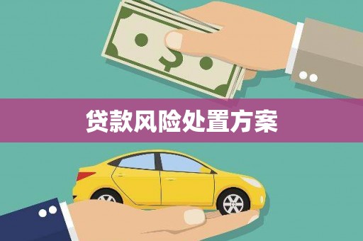 磁县贷款风险处置方案