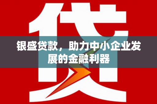 磁县银盛贷款，助力中小企业发展的金融利器