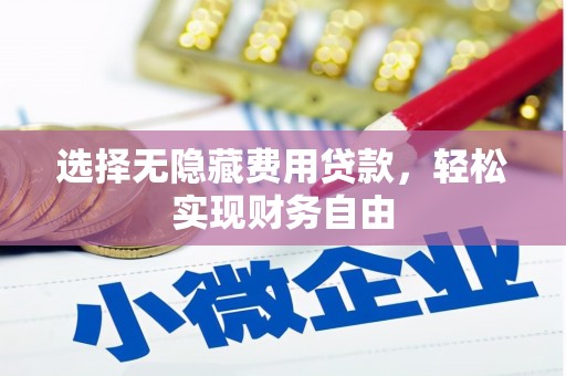 磁县选择无隐藏费用贷款，轻松实现财务自由