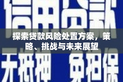 磁县探索贷款风险处置方案，策略、挑战与未来展望