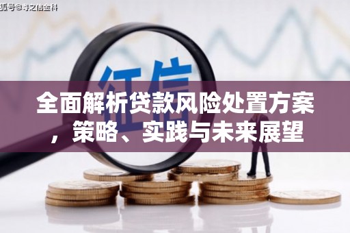 磁县全面解析贷款风险处置方案，策略、实践与未来展望