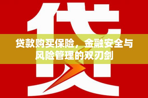 磁县贷款购买保险，金融安全与风险管理的双刃剑