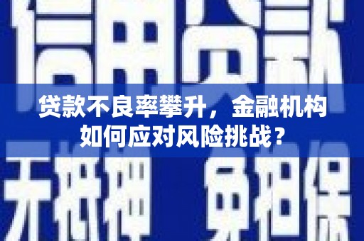 磁县贷款不良率攀升，金融机构如何应对风险挑战？