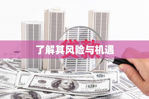 磁县了解其风险与机遇