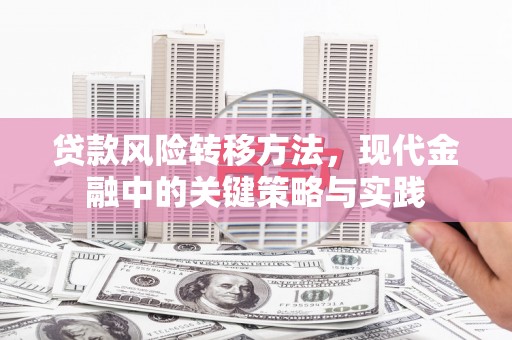 磁县贷款风险转移方法，现代金融中的关键策略与实践