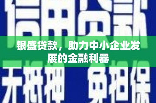 磁县银盛贷款，助力中小企业发展的金融利器