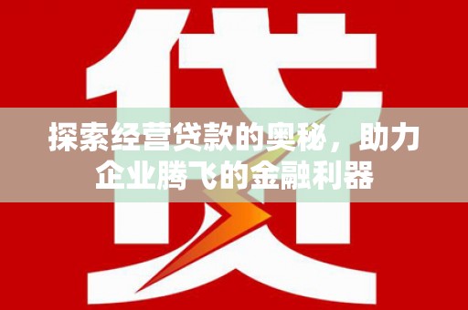 磁县探索经营贷款的奥秘，助力企业腾飞的金融利器
