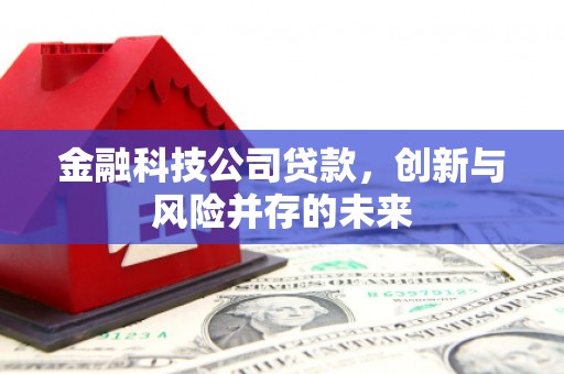 磁县金融科技公司贷款，创新与风险并存的未来
