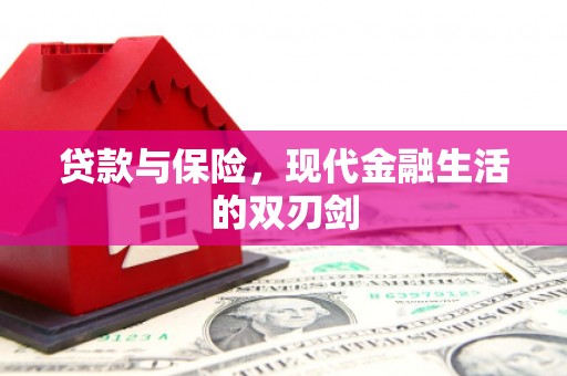 磁县贷款与保险，现代金融生活的双刃剑