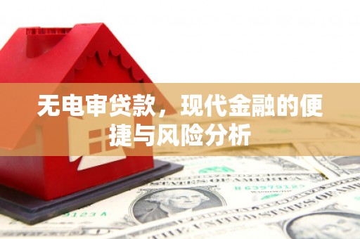 磁县无电审贷款，现代金融的便捷与风险分析