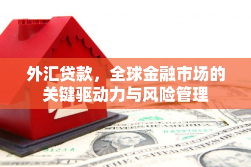 磁县外汇贷款，全球金融市场的关键驱动力与风险管理