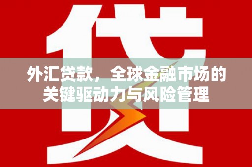 磁县外汇贷款，全球金融市场的关键驱动力与风险管理