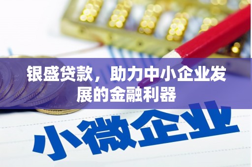 磁县银盛贷款，助力中小企业发展的金融利器