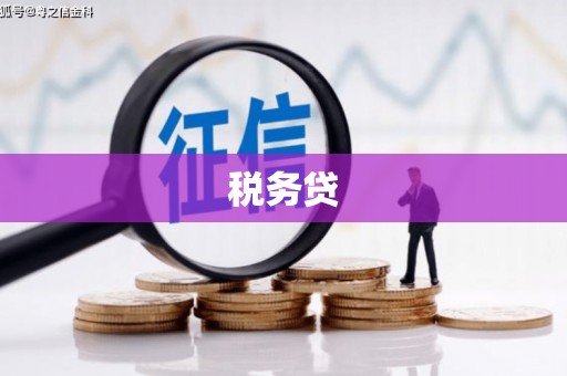 磁县税务贷