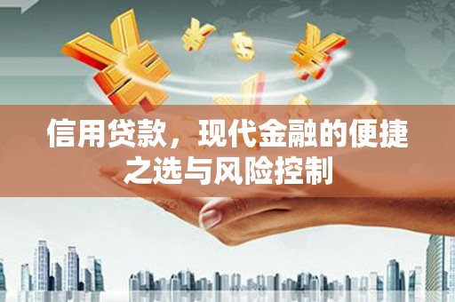 磁县信用贷款，现代金融的便捷之选与风险控制