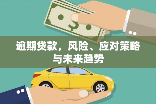 磁县逾期贷款，风险、应对策略与未来趋势