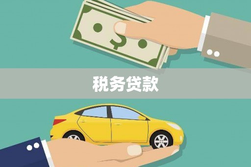 磁县税务贷款