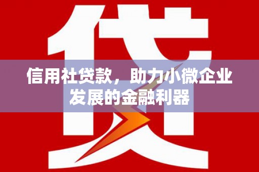 磁县信用社贷款，助力小微企业发展的金融利器