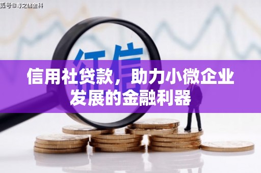 磁县信用社贷款，助力小微企业发展的金融利器