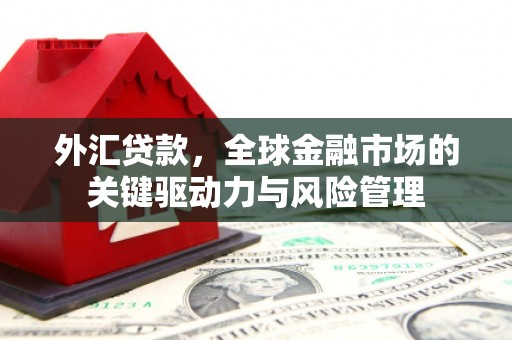 磁县外汇贷款，全球金融市场的关键驱动力与风险管理