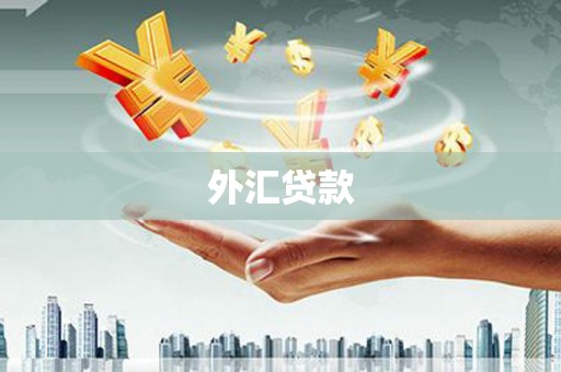 磁县外汇贷款