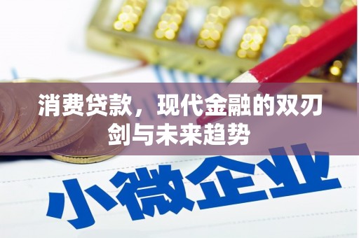 磁县消费贷款，现代金融的双刃剑与未来趋势