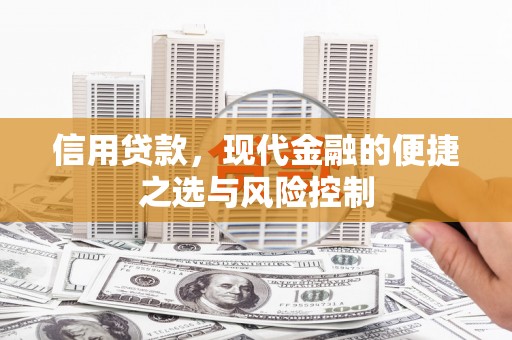 磁县信用贷款，现代金融的便捷之选与风险控制