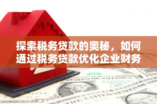 磁县探索税务贷款的奥秘，如何通过税务贷款优化企业财务