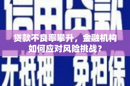 磁县贷款不良率攀升，金融机构如何应对风险挑战？