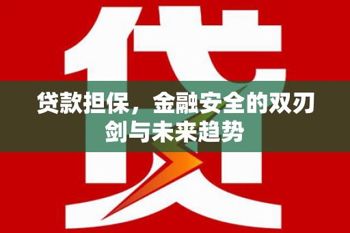 磁县贷款担保，金融安全的双刃剑与未来趋势