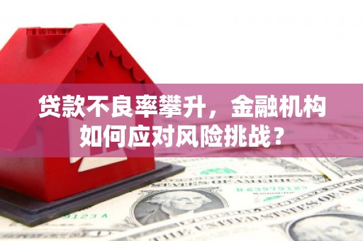 磁县贷款不良率攀升，金融机构如何应对风险挑战？