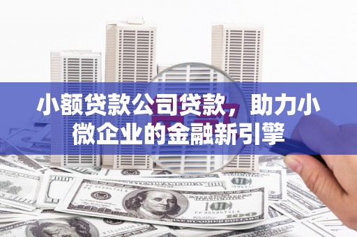 磁县小额贷款公司贷款，助力小微企业的金融新引擎
