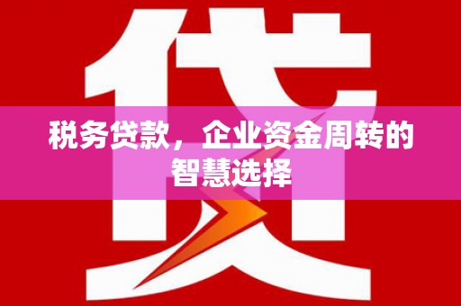 磁县税务贷款，企业资金周转的智慧选择
