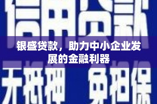 磁县银盛贷款，助力中小企业发展的金融利器