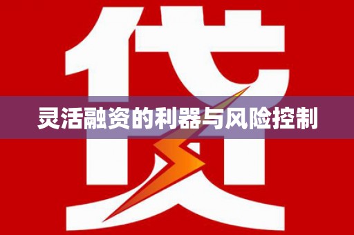 磁县灵活融资的利器与风险控制