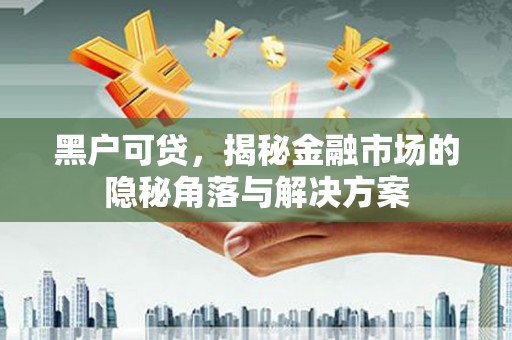 磁县黑户可贷，揭秘金融市场的隐秘角落与解决方案