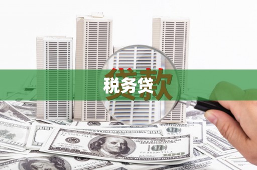 磁县税务贷