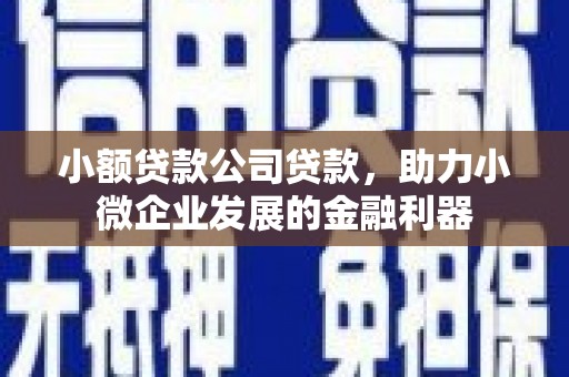 磁县小额贷款公司贷款，助力小微企业发展的金融利器