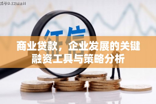 磁县商业贷款，企业发展的关键融资工具与策略分析