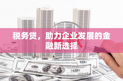 磁县税务贷，助力企业发展的金融新选择